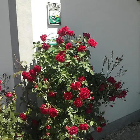 Çiftlik konaklama Schnatterhof Lambrechten