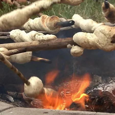 Çiftlik konaklama Schnatterhof Lambrechten