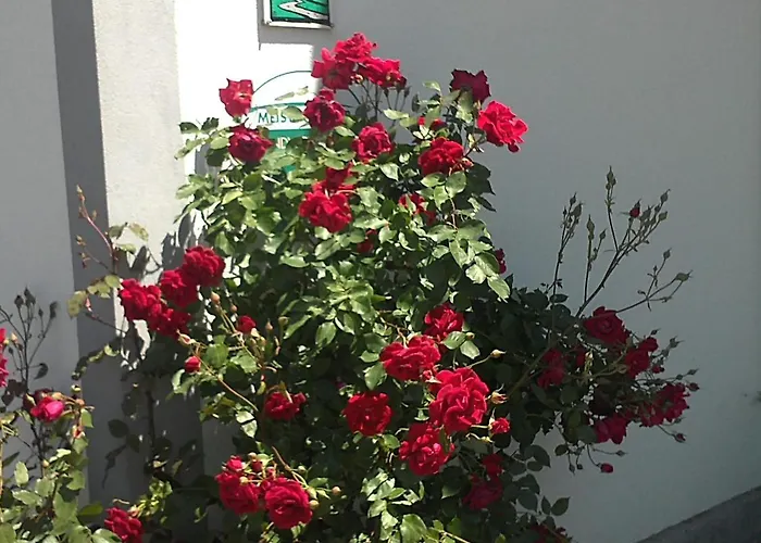 Lantgård Schnatterhof Lambrechten