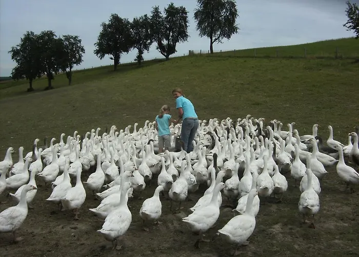 Lantgård Schnatterhof Lambrechten
