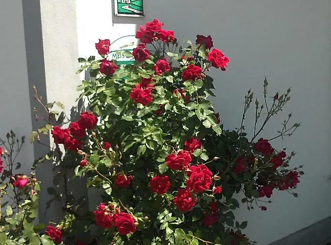 Schnatterhof Lambrechten