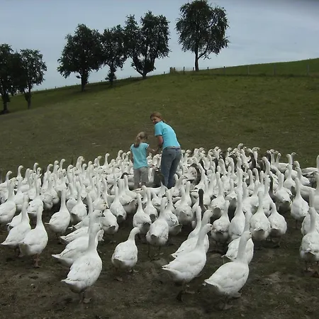 Gospodarstwo agroturystyczne Schnatterhof Lambrechten