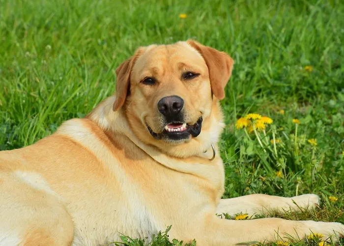 Gospodarstwo agroturystyczne Schnatterhof